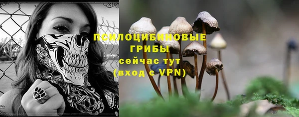 стафф Вязники