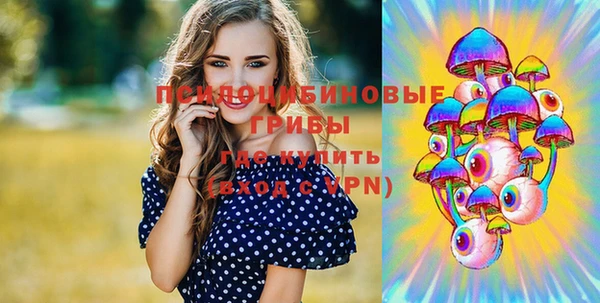 mix Вяземский