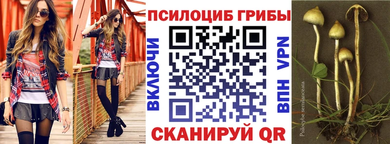 Псилоцибиновые грибы Magic Shrooms  закладки  Демидов 